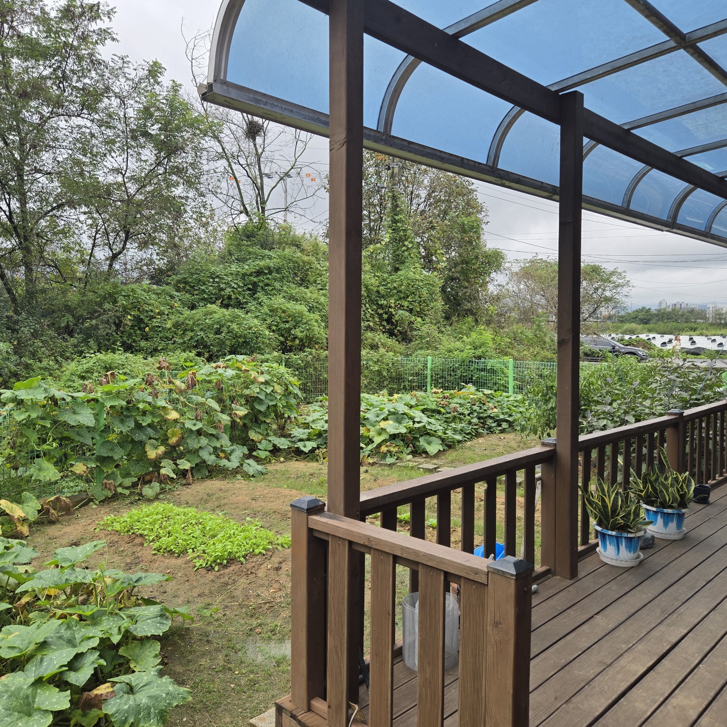 성주읍 조용한전원주택 사진 - 10