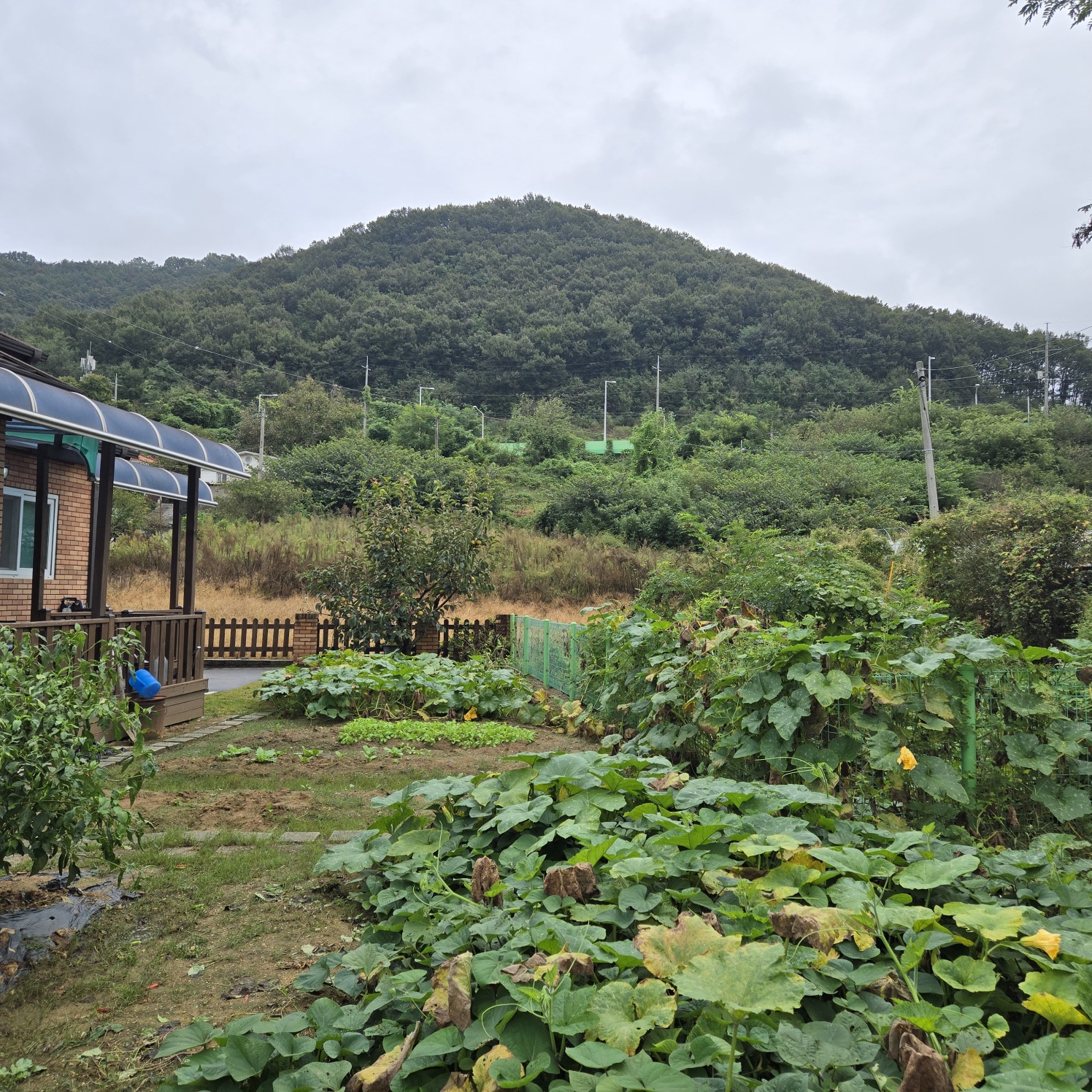 성주읍 조용한전원주택 사진 - 14