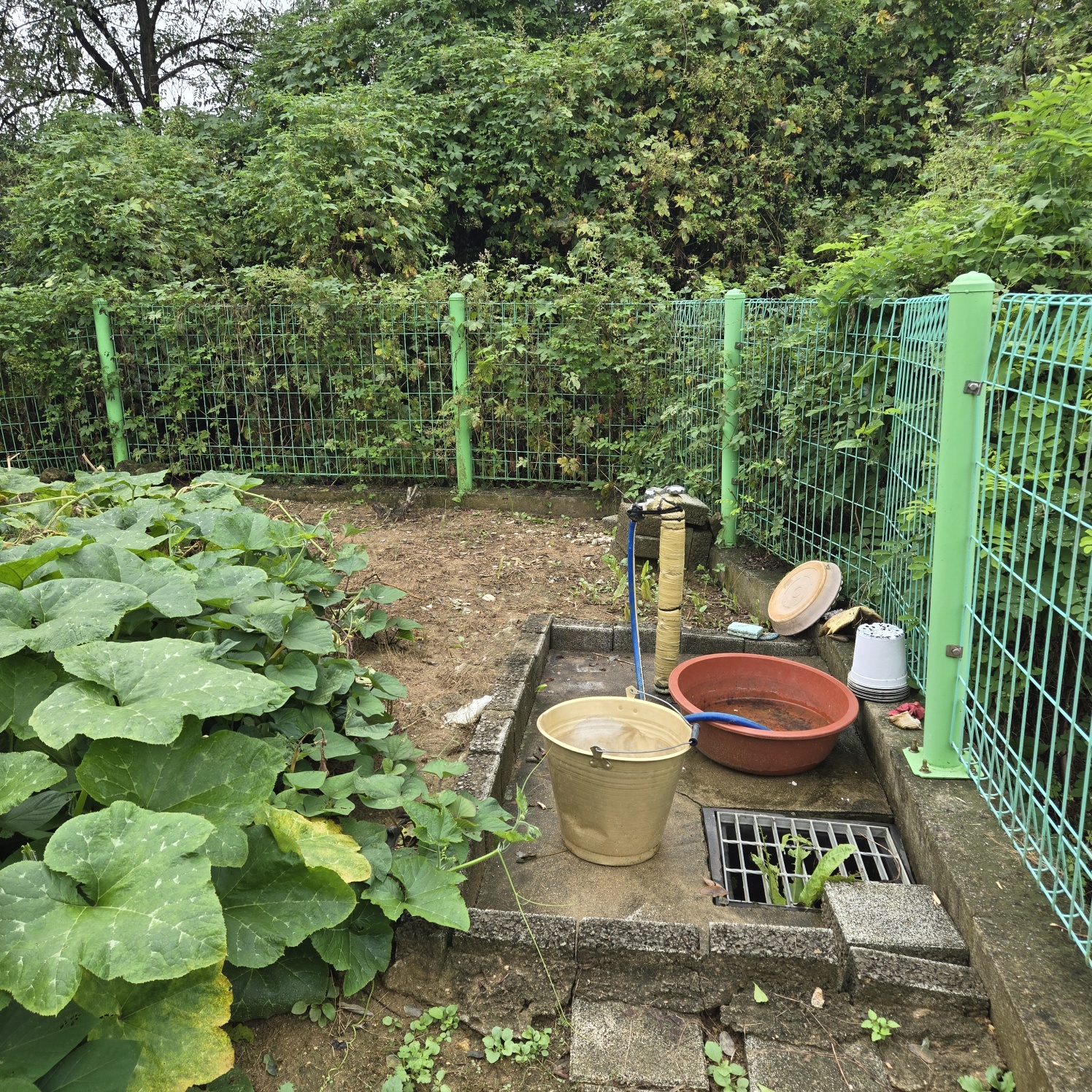 성주읍 조용한전원주택 사진 - 15