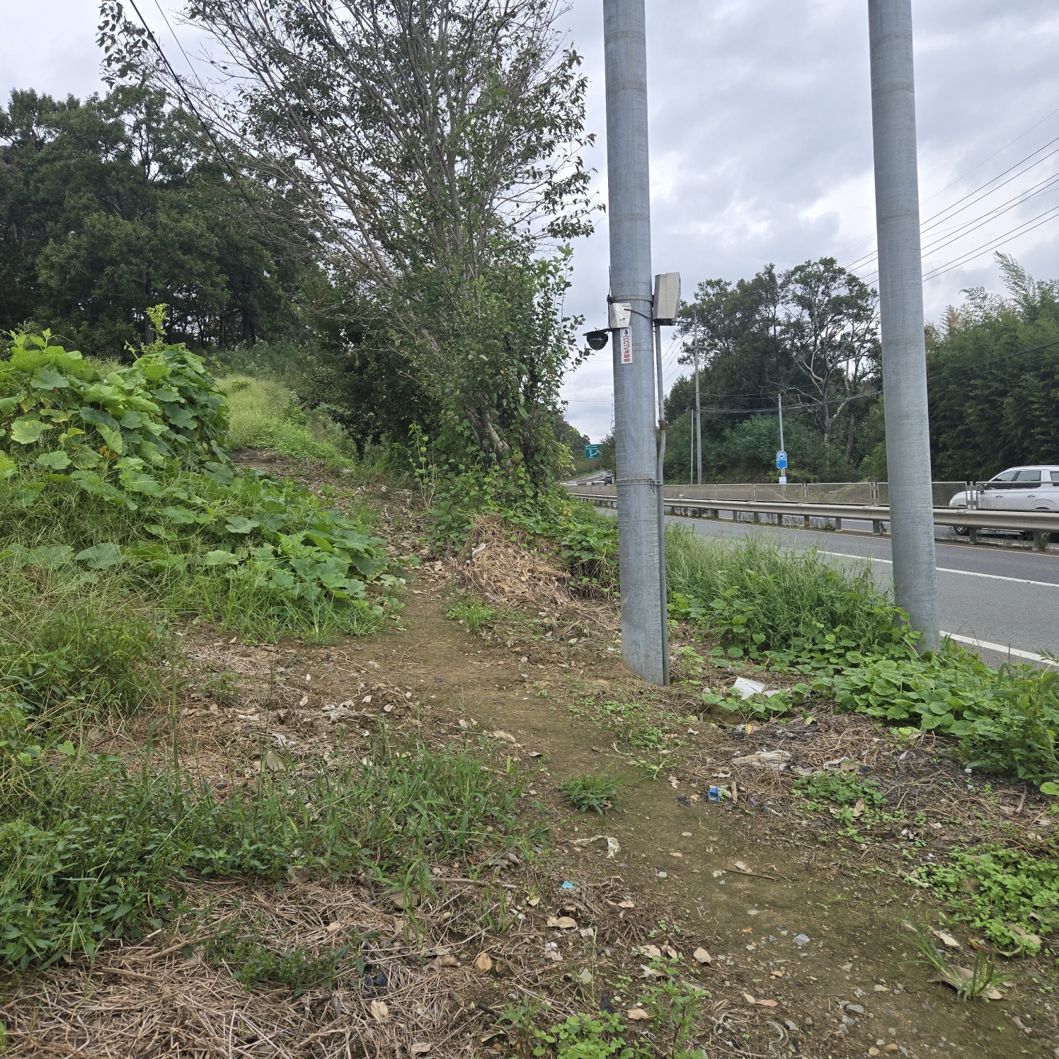 문양역 인근 주말쉼터투자땅매매 사진 - 7