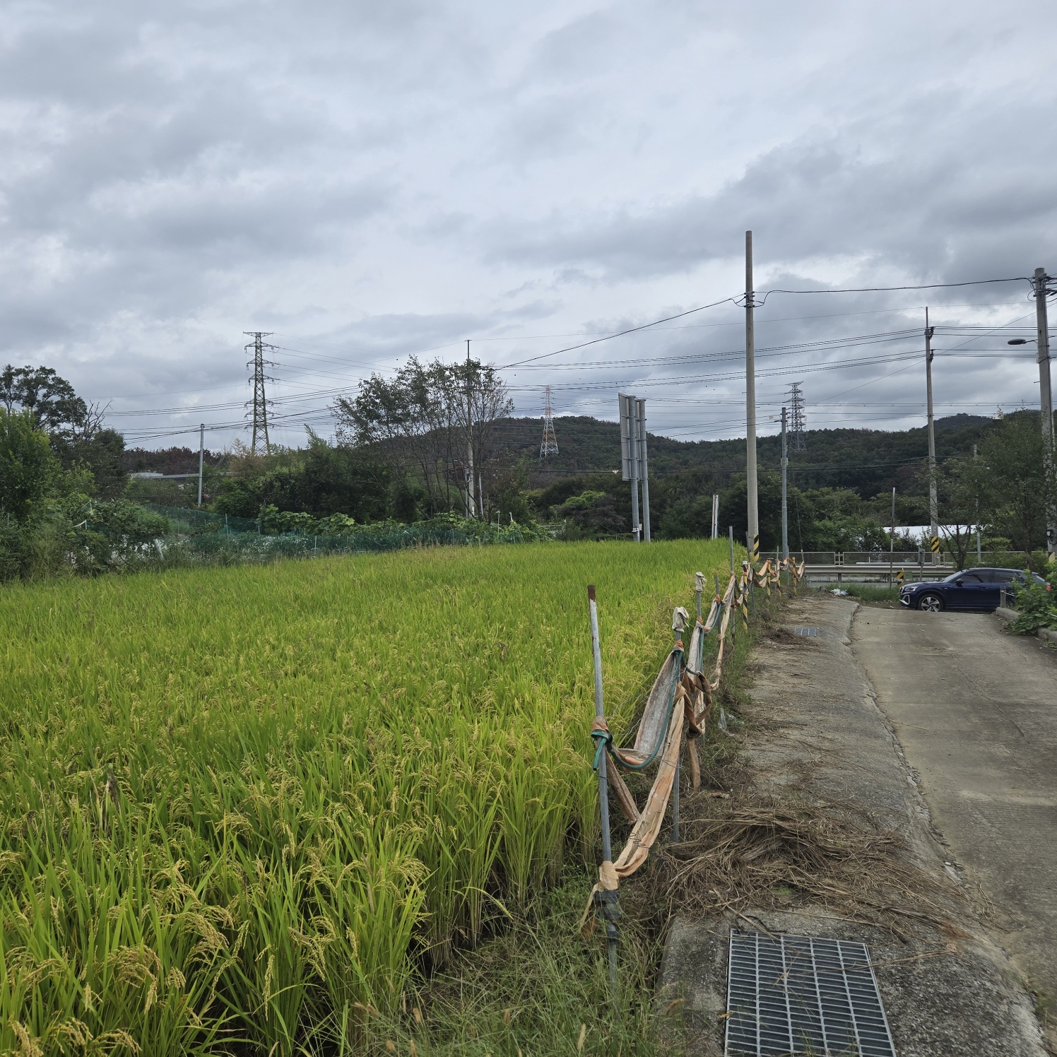 문양역 인근 주말쉼터투자땅매매 사진 - 6