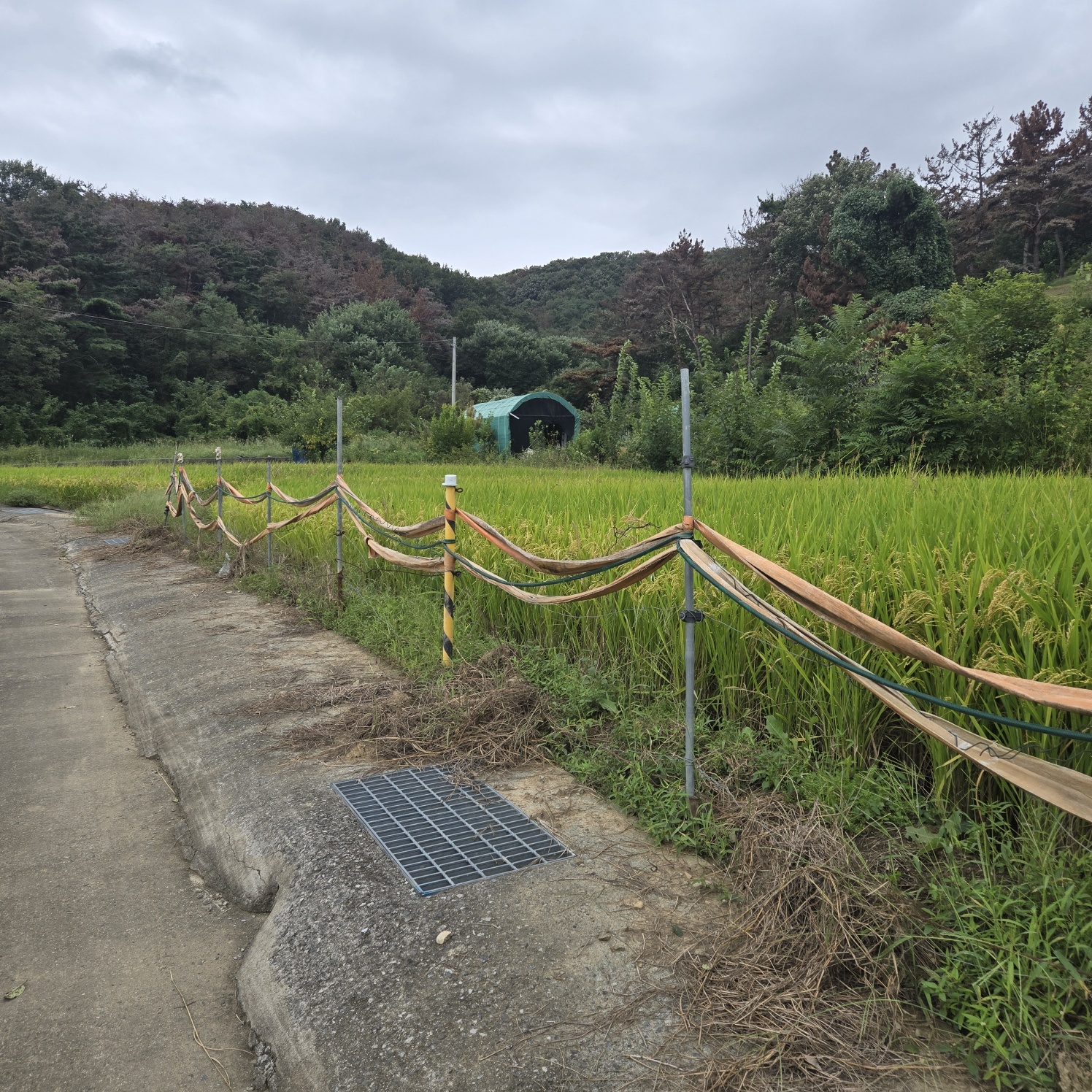 문양역 인근 주말쉼터투자땅매매 사진 - 3