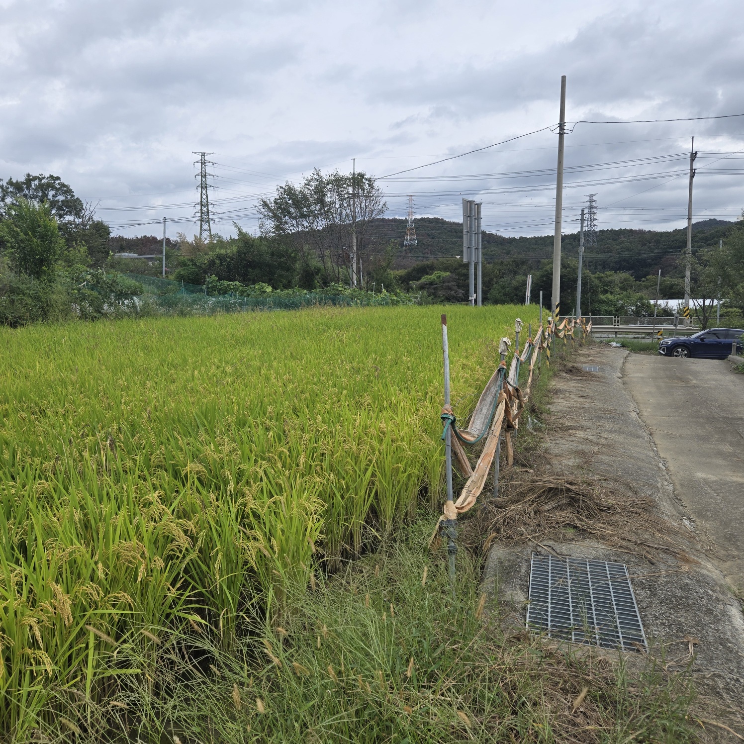 문양역 인근 주말쉼터투자땅매매 사진 - 1