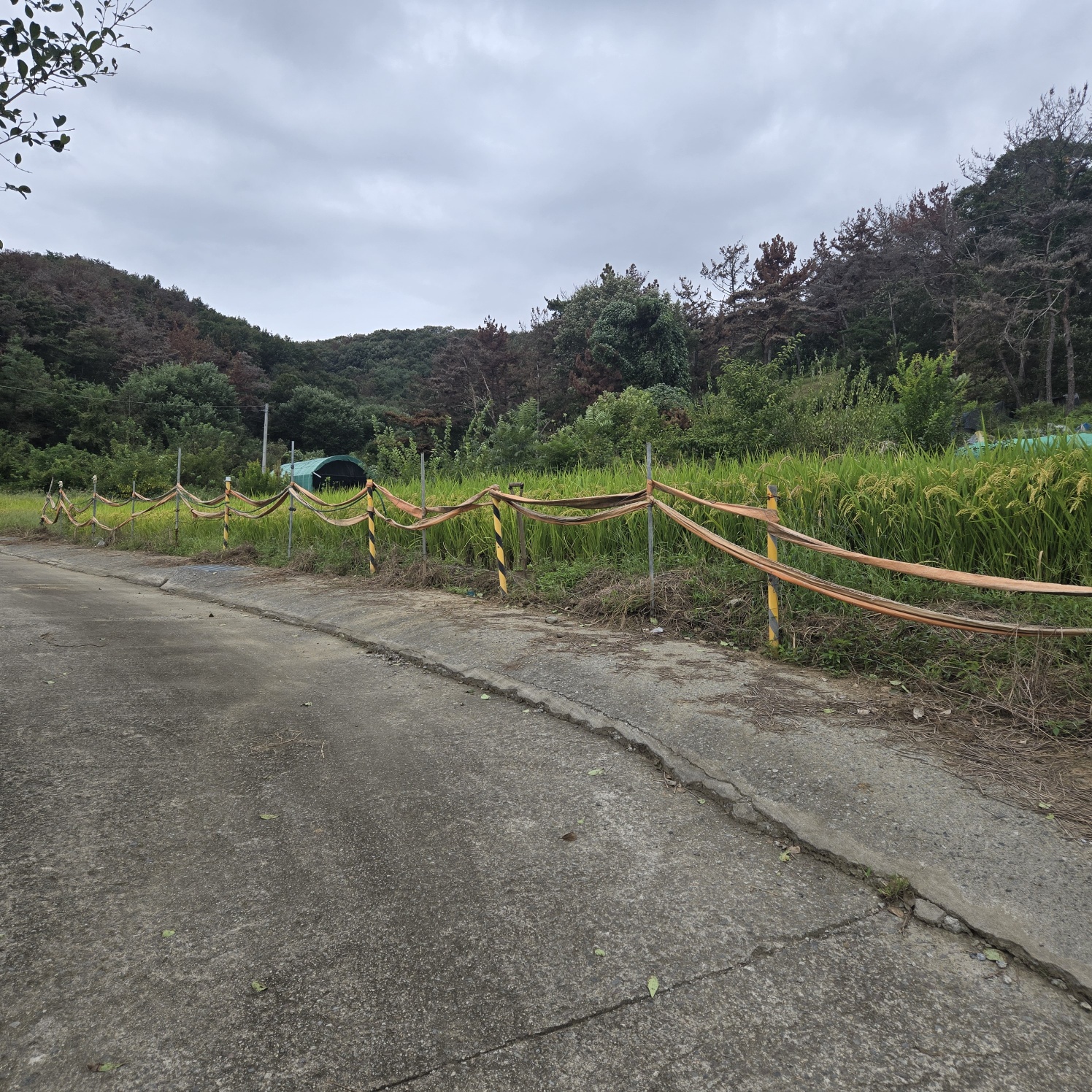 문양역 인근 주말쉼터투자땅매매 사진 - 2