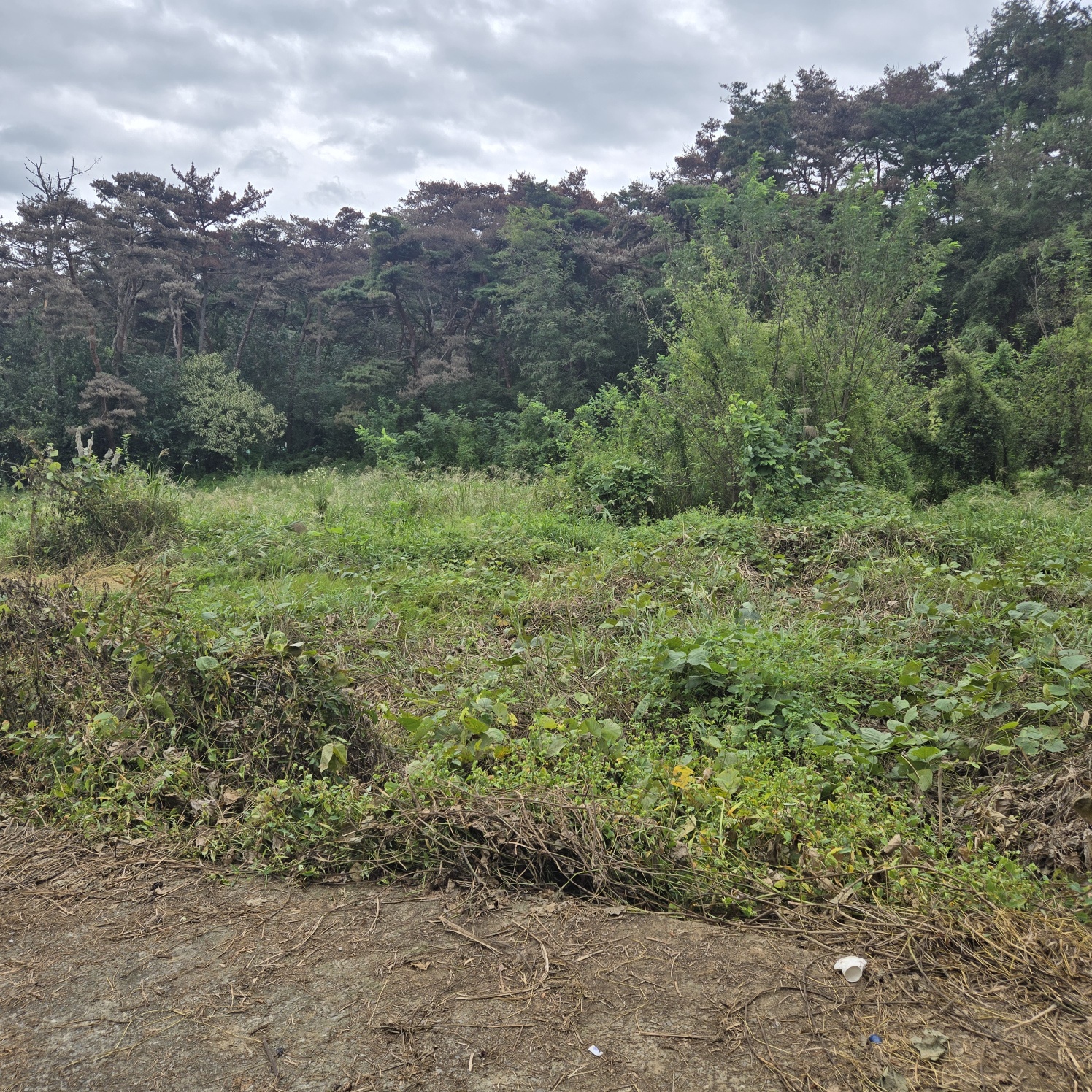 문양역 인근 주말쉼터투자땅매매 사진 - 16