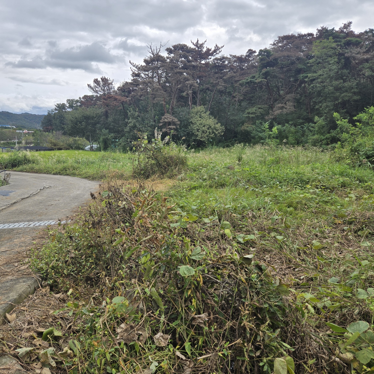 문양역 인근 주말쉼터투자땅매매 사진 - 18