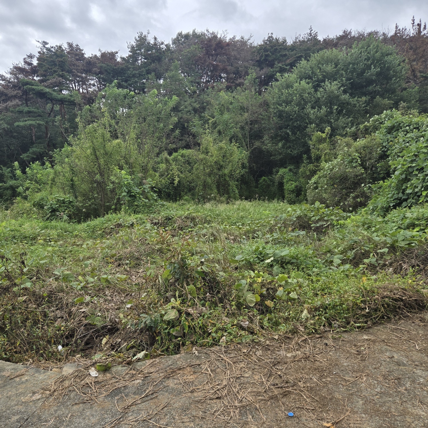 문양역 인근 주말쉼터투자땅매매 사진 - 19