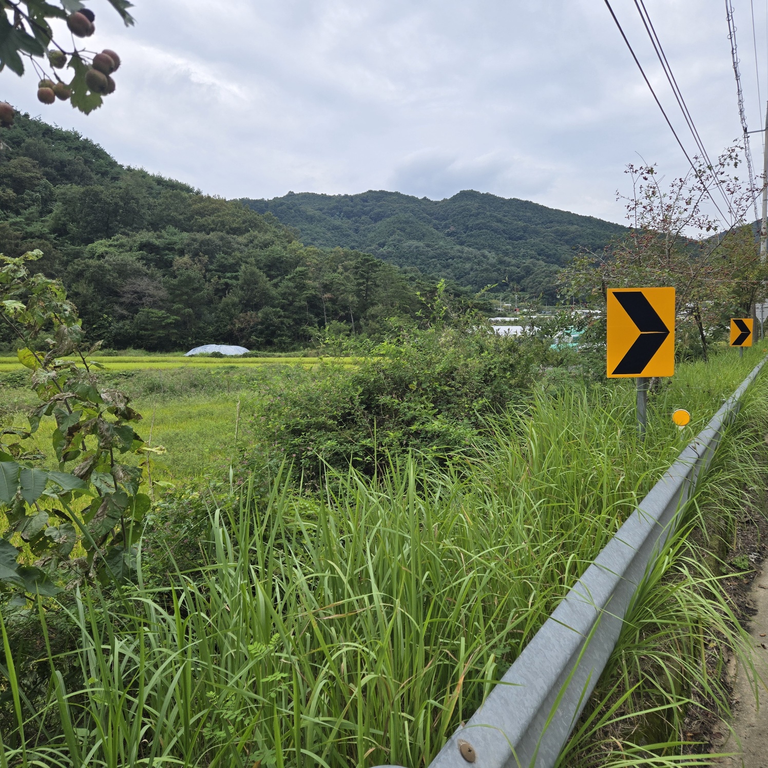 호수가낚시 하기좋은땅 사진 - 5