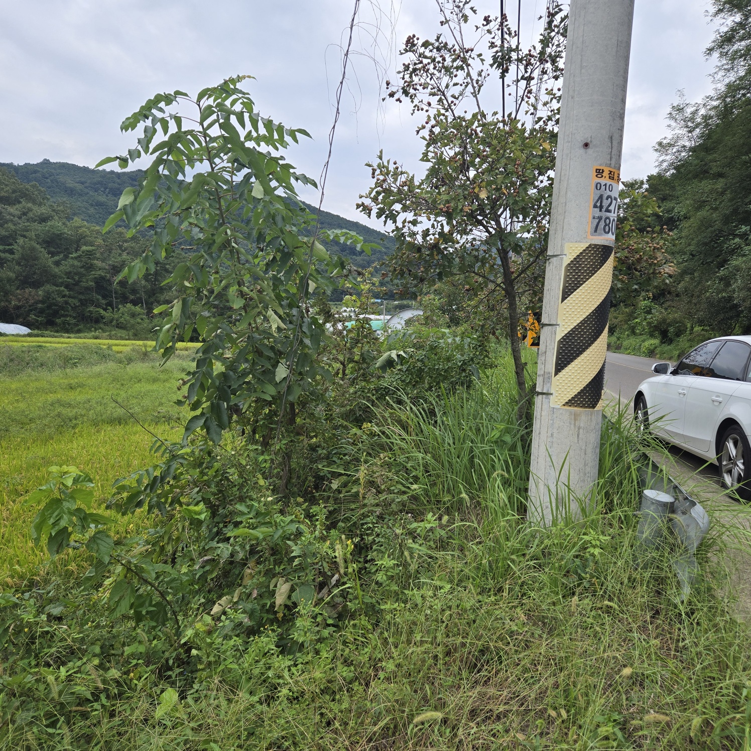 호수가낚시 하기좋은땅 사진 - 4