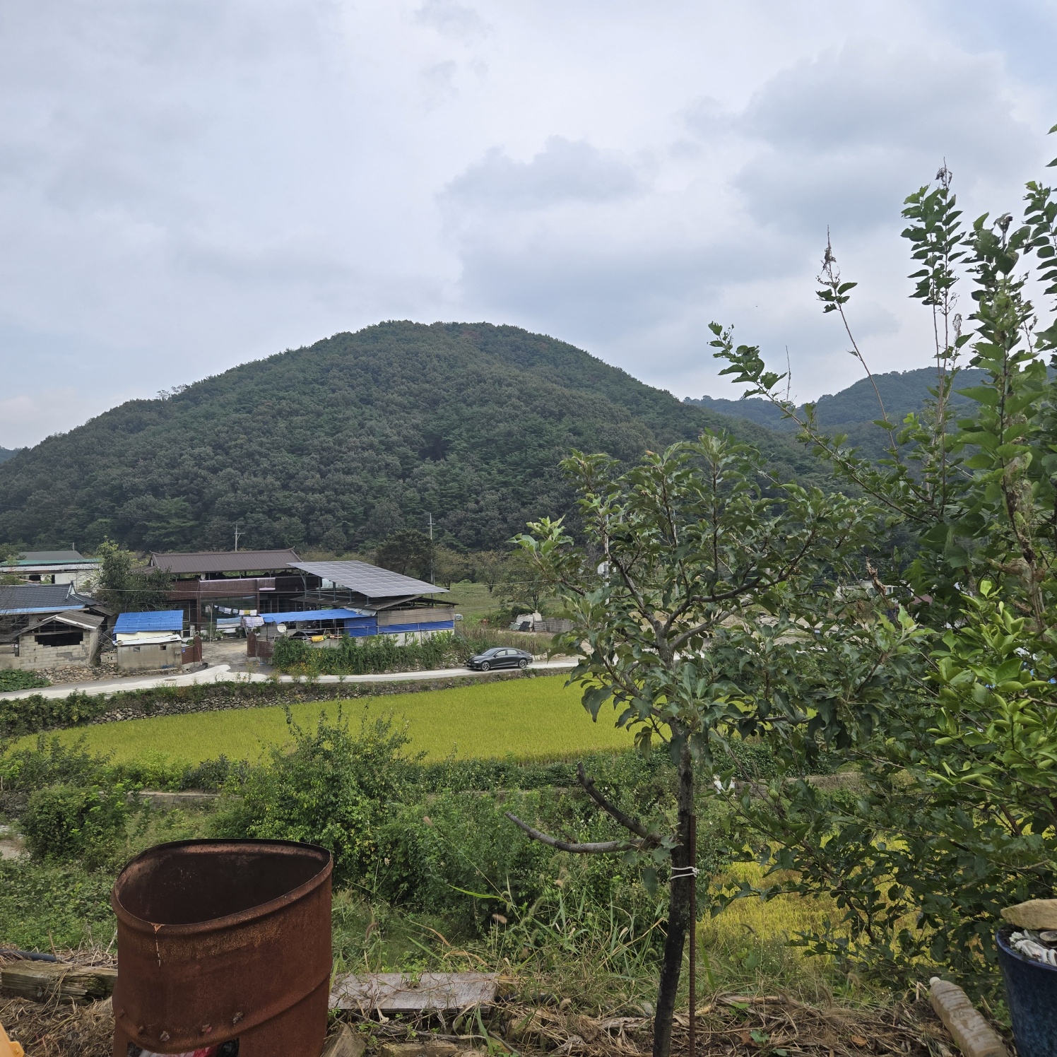 전망좋은 산자락텃밭주택지 사진 - 1