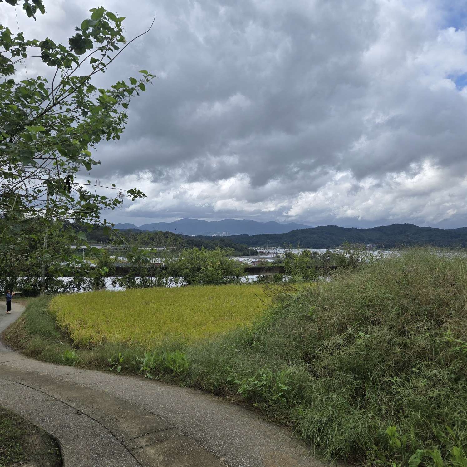 급매 전망공기좋은 텃밭주택지 사진 - 1