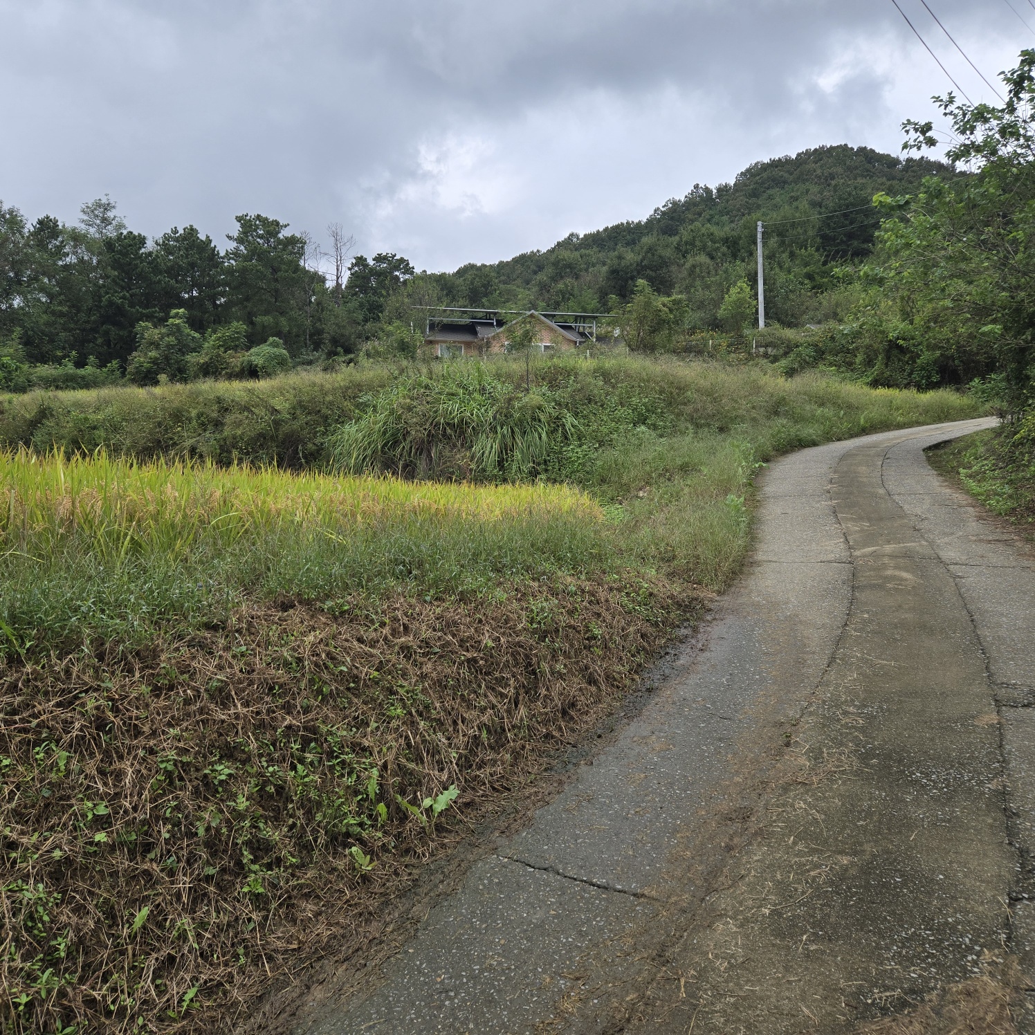 급매 전망공기좋은 텃밭주택지 사진 - 6