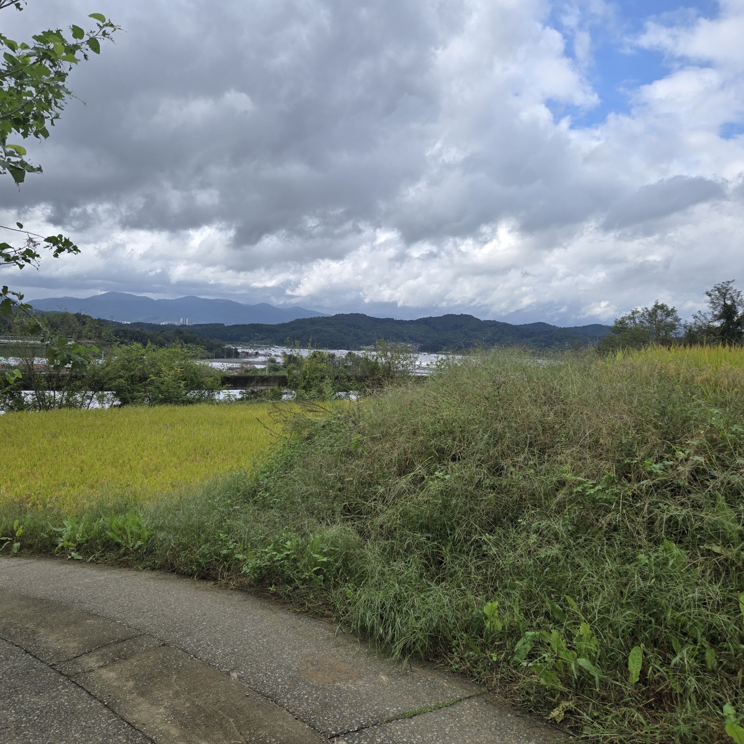 급매 전망공기좋은 텃밭주택지 사진 - 9