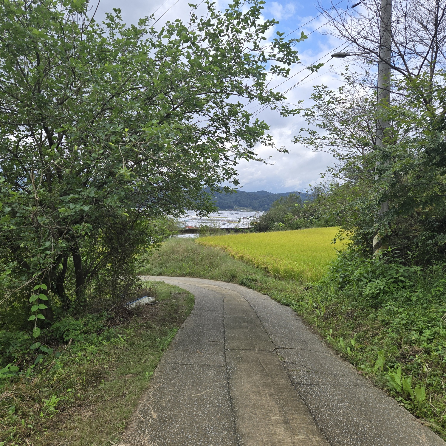 급매 전망공기좋은 텃밭주택지 사진 - 10
