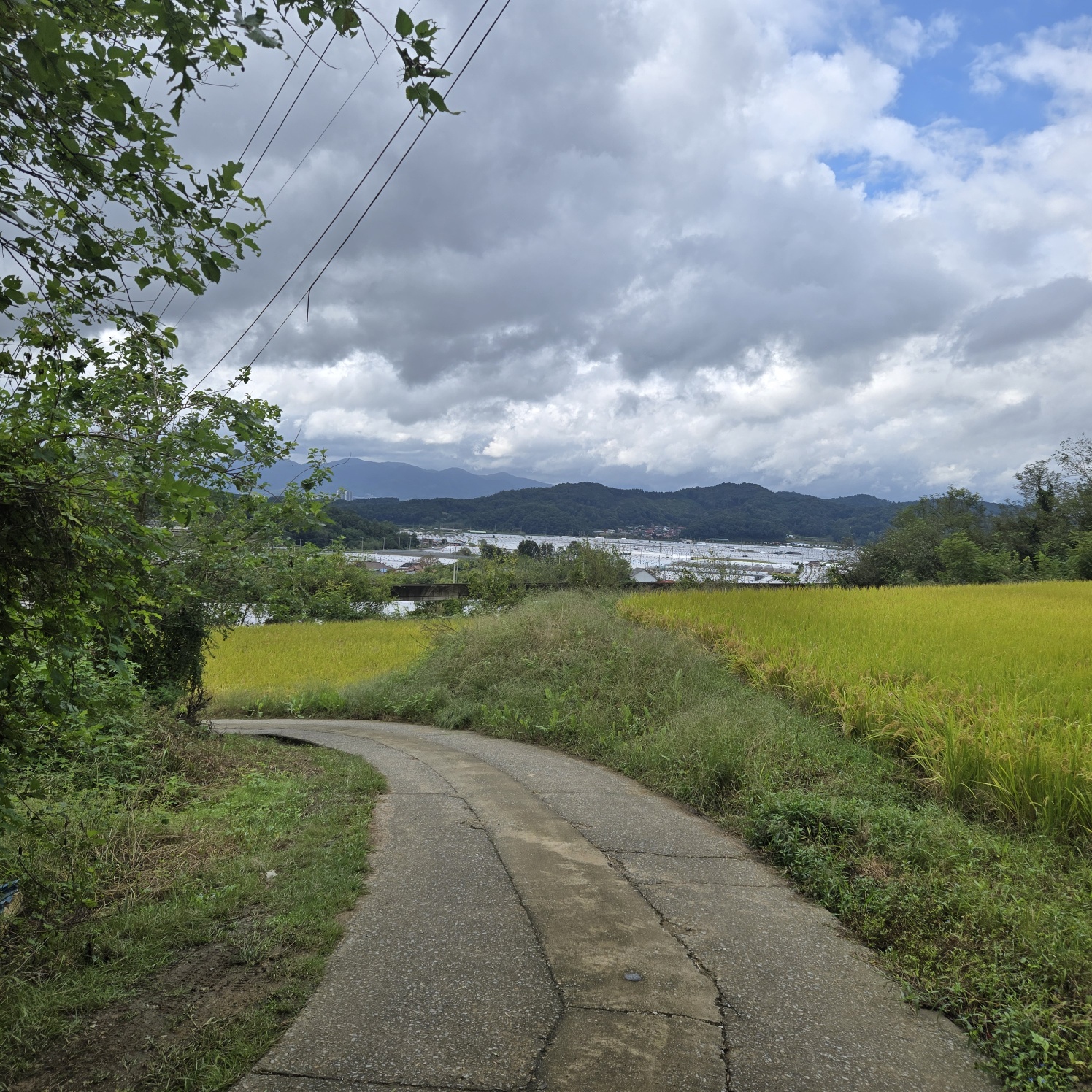 급매 전망공기좋은 텃밭주택지 사진 - 11