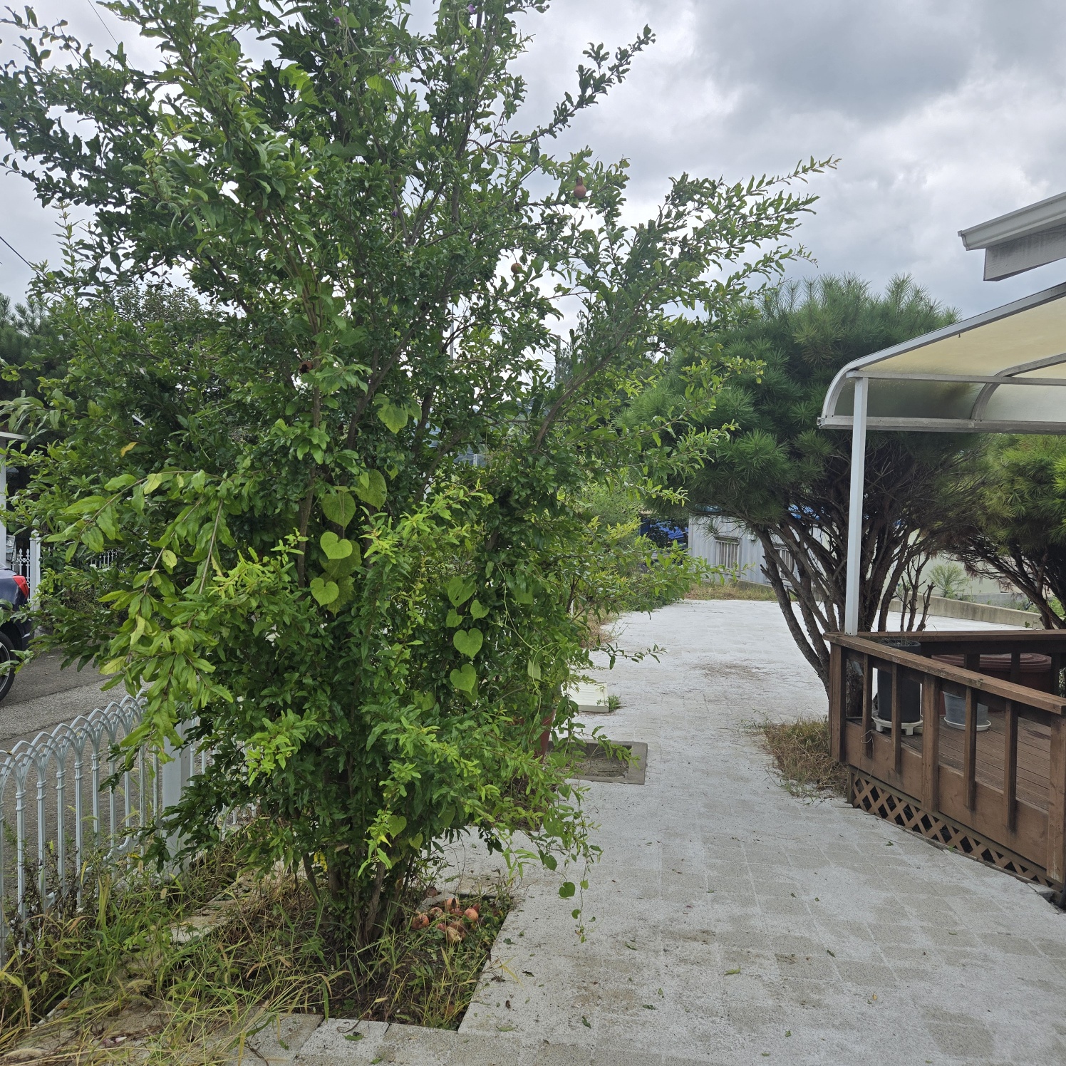 작은전원주택매매 사진 - 21