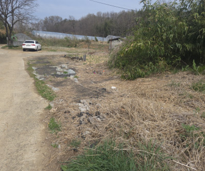 성주읍 양지바른 작고 이쁜땅 매물 이미지