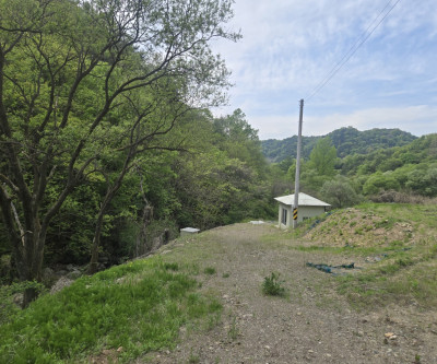 급 개울물졸졸 청정지역 매물 이미지