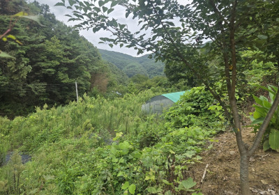 개울물졸졸 청정지역 쉼터 매물 이미지